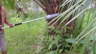 demo mesin pemotong buah dan pelepah sawit