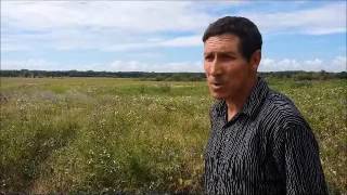инжавинская птицефабрика завалила птичим пометом заливные луга реки вороны