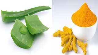 चेहरे पर गजब का गोरापन देगा एलोवेरा और हल्दी का पैक। How to use aloe vera for skin whitening