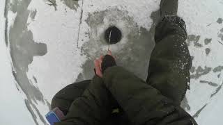 Рыбалка со льда на Милятинском водохранилище. Калужская область, февраль 2020