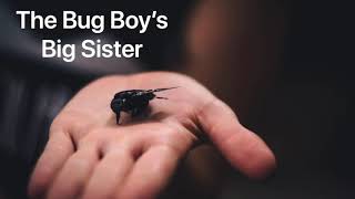 You’re a bug, trying to get your big sister’s attention. Will she know it’s you? (Female x rp)