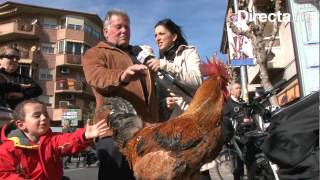 Bendición de animales por San Antón