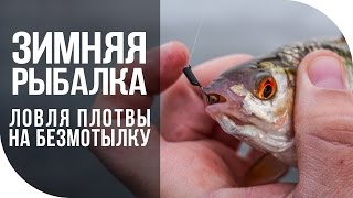 Зимняя рыбалка. Ловля плотвы на безмотылку. [FishMasta.ru]