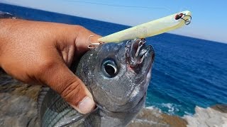 Fishing with DUO #54: Bay Ruf Manic 95 VS "Maniac" Saddled breams.