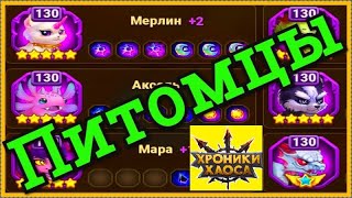 Хроники Хаоса Питомцы прокачка, на каких героев ставить покровительство каких питомцев ставить в бой