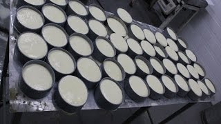 Дозатор Сыра "Сулугуни"  автоматический в работе со Шнековым плавителем