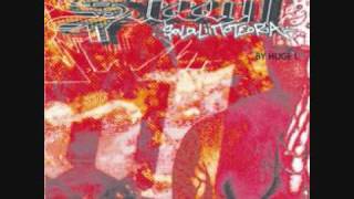 Steen1 - Salaliittoteoria By Huge L  SAMPLERI