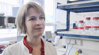 Krebsimpfung - das Erbe eines Nobelpreisträger | Projekt Zukunft