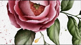 Painting watercolor peony flower on iPad Pro