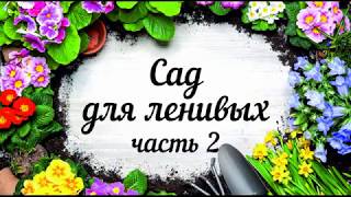 Сад для ленивых - Часть 2 | GARDEN BOOM