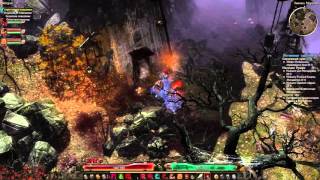 Grim Dawn Билд Оккультист/Шаман, пассивный Петовод 8.11.2015