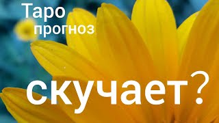 Таро прогноз СКУЧАЕТ ОН？ЕГО ПЛАНЫ? ЕГО ДЕЙСТВИЯ?  Онлайн гадание на картах Таро asmr видео Hygge