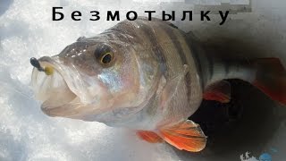 Опыт ловли окуня на безмотыльную мормышку (безмотылку)