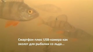 Смартфон плюс USB-камера как эхолот для рыбалки со льда