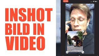 ?? InShot App - Bild in Video ?? | #FragDenDan