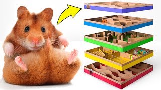 활동적인 햄스터를 위한 놀라운 DIY 5단 미로 ?