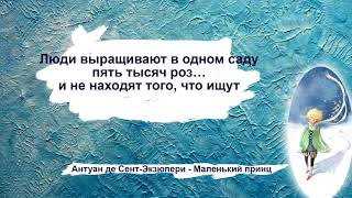 Цитаты Маленький Принц - Экзюпери (афоризмы, мудрые мысли, высказывания)