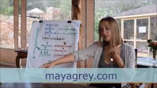 Maya Grey | Energijos materializacija: Sąmoningumas ar aukos pozicija?