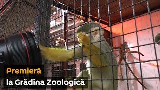 Din Rusia în Moldova: Premieră la Grădina Zoologică
