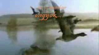 Holdviola: Egyszer egy madárka....
