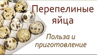 Польза перепелиных яиц. Как употреблять перепелиные яйца.