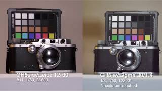 Panasonic GH5s vs. Sony a7R III, a6300, Leica SL (High ISO)