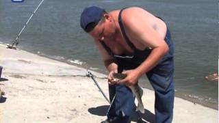 Кого можно поймать на Коксарайском водохранилище