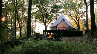 가을 숲속 모닥불과 고요한 캠핑을 - 소고기 토마토 구이와 약수터 댕댕이 Camping