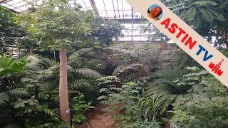 МОСКВА!  Коллекция растений Фондовых оранжерей. Ботанический сад.