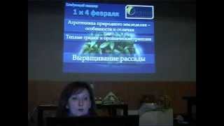 Голубика САДОВАЯ