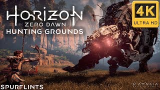 Horizon Zero Dawn Hunting Grounds Walkthrough | Very Hard No Damage | Spurflints