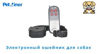 Дешёвый электроошейник для дрессировки собак Petrainer PET998С