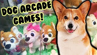 DOG ARCADE GAMES & CLAW MACHINES at Great Wolf Lodge!