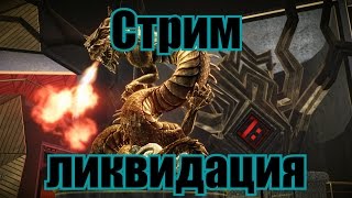 Cтрим ликвидация
