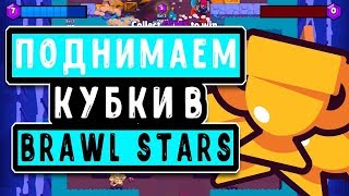 Поднимаю 500 кубков/Brawl Stars