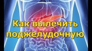 Как вылечить поджелудочную железу - Народная медицина