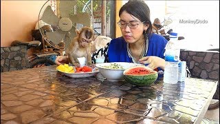 Cute Dodo Get Dinner With Mama, Dodo Love His Food Too Much