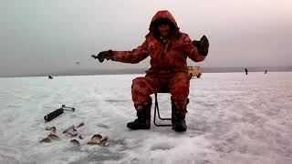 Рыбалка на Братском водохранилище. Часть 2. Красивая приманка - не значит клевая