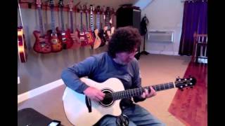 New Fischer Concerto Cocobolo/Curly Swiss at Dream Guitars