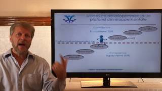 Présentation leadership conscient