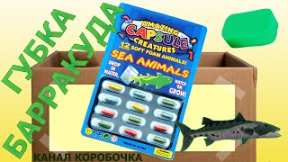 ? Морские животные из капсул - серия 7. Губка Барракуда ?. Видео для детей про детские опыты
