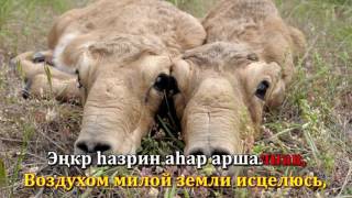 Караоке на Калмыцком зыке. Мини Торскн (Моя родина) Калмыкия
