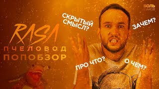 ЧТО ХОТЕЛИ СКАЗАТЬ RASA ПЕСНЕЙ ПЧЕЛОВОД? (ПОПобзор)