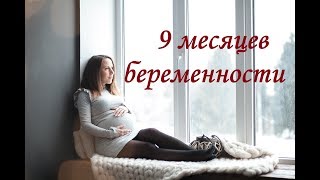 Влог 9 месяцев беременности