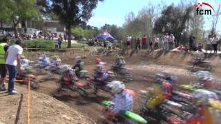 Campionat Català de Motocròs 2014 Parc Motor Vallgorguina