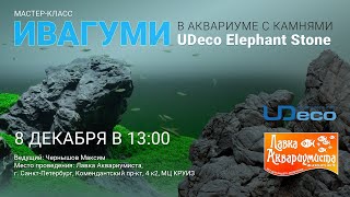 Мастер-класс: Ивагуми в аквариуме с камнями