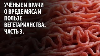 Учёные и врачи о вреде мяса и пользе вегетарианства №3