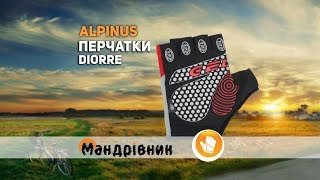 Перчатки Alpinus Diorre