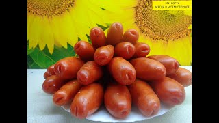 ТОМАТЫ, ПРОВЕРЕННЫЕ ГОДАМИ.