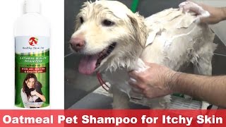 Oatmeal Dog Shampoo for Itchy Skin by Healthy Clean Pet